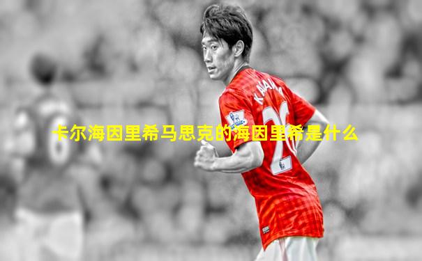 卡尔海因里希马思克的海因里希是什么