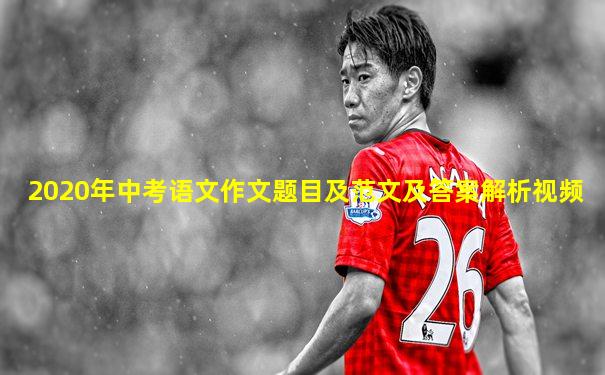 2020年中考语文作文题目及范文及答案解析视频