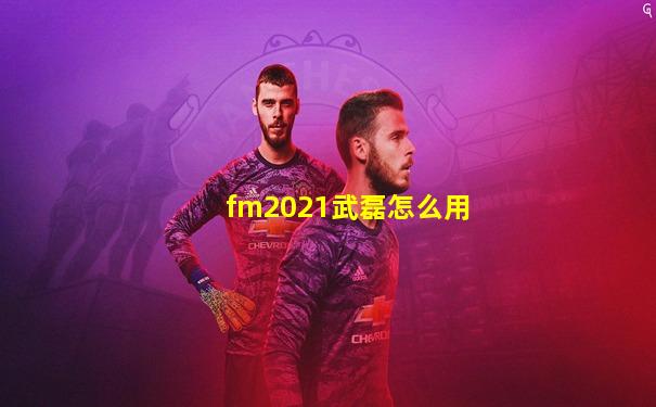 fm2021武磊怎么用