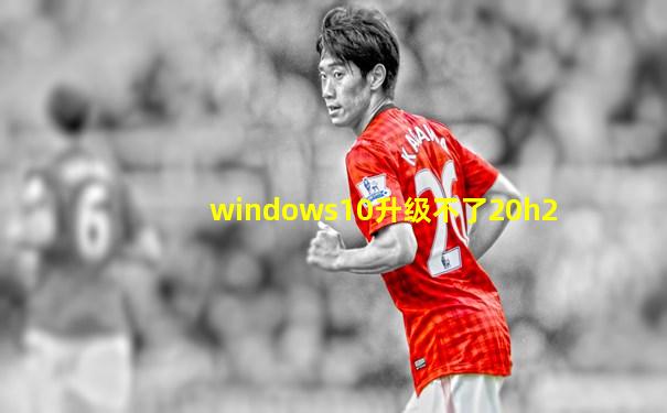 windows10升级不了20h2
