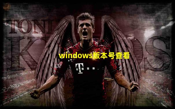 windows版本号查看