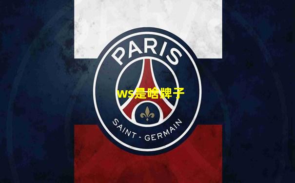 ws是啥牌子