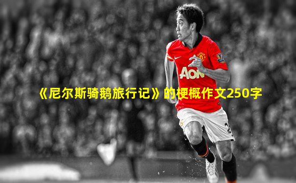 《尼尔斯骑鹅旅行记》的梗概作文250字
