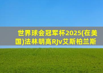 世界球会冠军杯2025(在美国)法林明高RJv艾斯柏兰斯