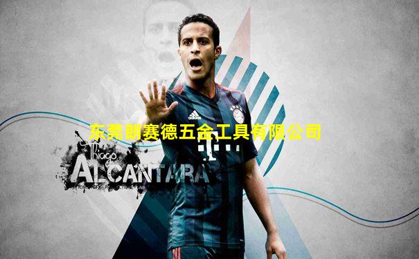 东莞朗赛德五金工具有限公司