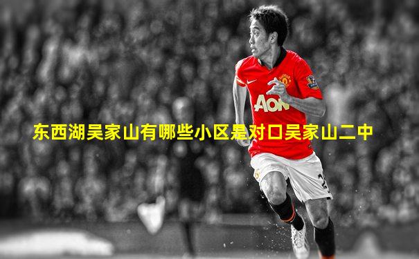 东西湖吴家山有哪些小区是对口吴家山二中