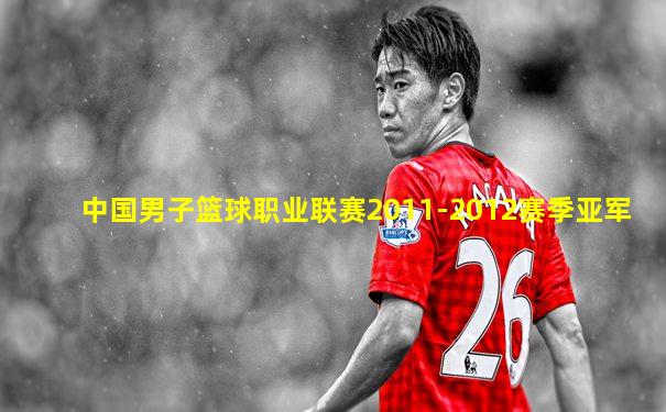 中国男子篮球职业联赛2011-2012赛季亚军