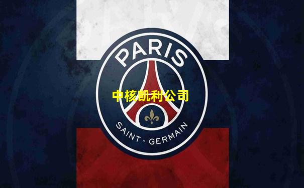中核凯利公司