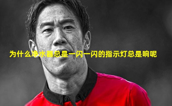 为什么净水器总是一闪一闪的指示灯总是响呢
