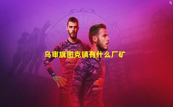乌审旗图克镇有什么厂矿