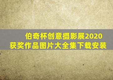 伯奇杯创意摄影展2020获奖作品图片大全集下载安装