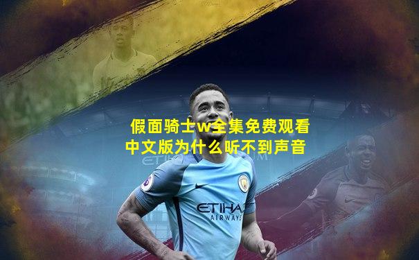假面骑士w全集免费观看中文版为什么听不到声音