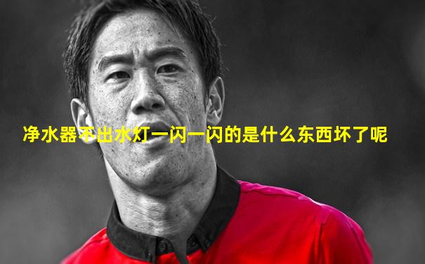 净水器不出水灯一闪一闪的是什么东西坏了呢