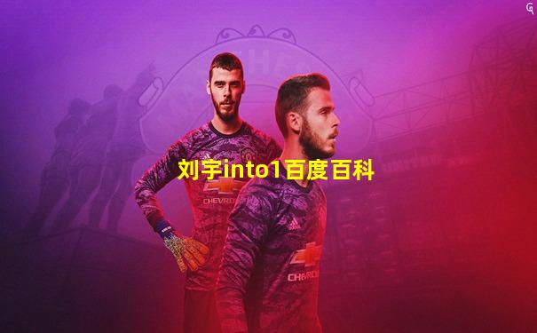 刘宇into1百度百科