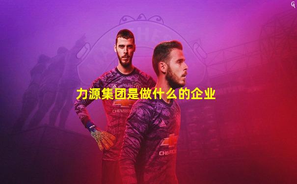 力源集团是做什么的企业