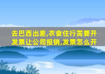 去巴西出差,衣食住行需要开发票让公司报销,发票怎么开
