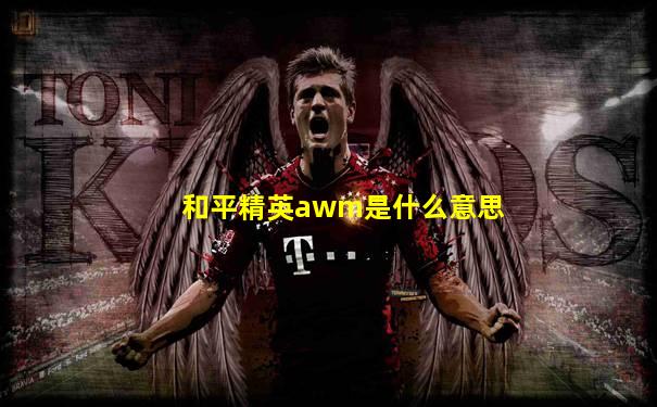 和平精英awm是什么意思
