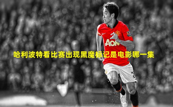 哈利波特看比赛出现黑魔标记是电影哪一集