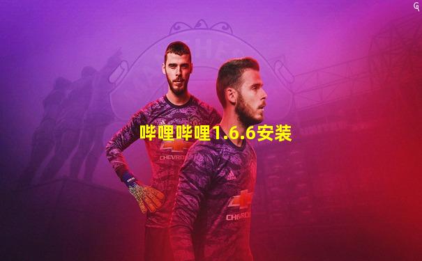 哔哩哔哩1.6.6安装