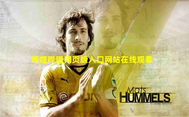 哔哩哔哩网页版入口网站在线观看