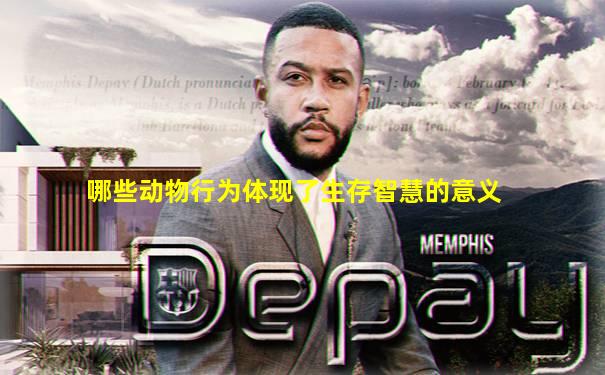 哪些动物行为体现了生存智慧的意义