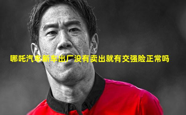 哪吒汽车新车出厂没有卖出就有交强险正常吗