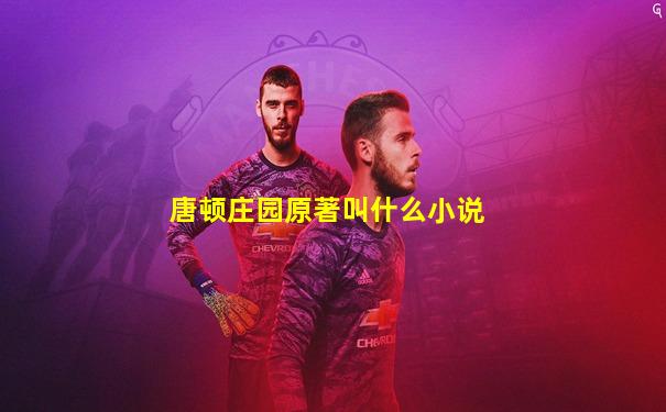 唐顿庄园原著叫什么小说