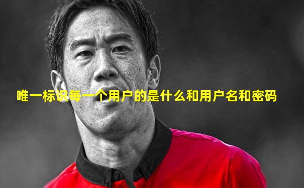 唯一标识每一个用户的是什么和用户名和密码