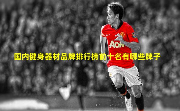 国内健身器材品牌排行榜前十名有哪些牌子
