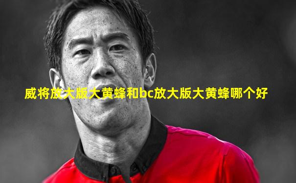 威将放大版大黄蜂和bc放大版大黄蜂哪个好
