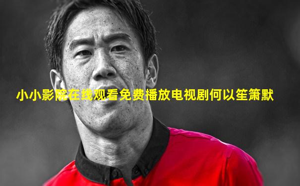小小影院在线观看免费播放电视剧何以笙箫默