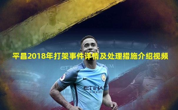 平昌2018年打架事件详情及处理措施介绍视频