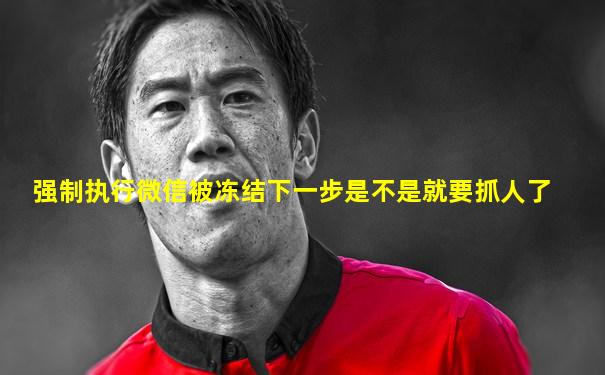 强制执行微信被冻结下一步是不是就要抓人了