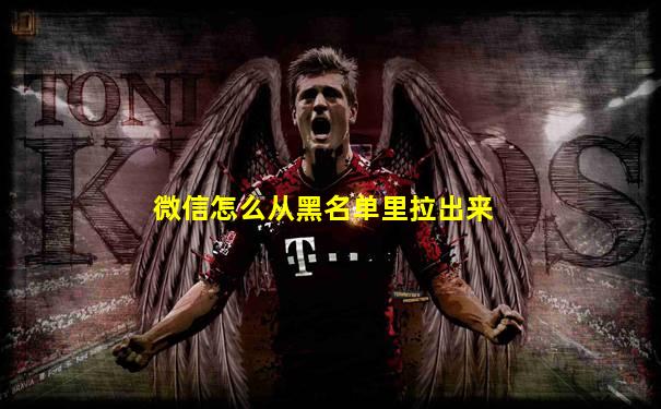 微信怎么从黑名单里拉出来