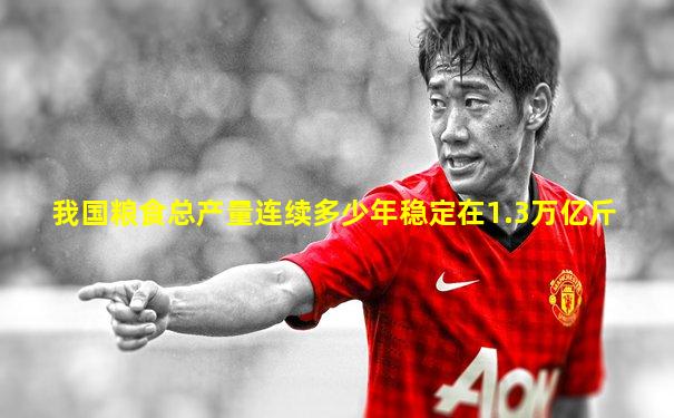我国粮食总产量连续多少年稳定在1.3万亿斤