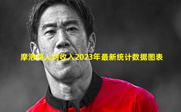 摩洛哥人均收入2023年最新统计数据图表