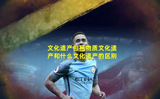 文化遗产包括物质文化遗产和什么文化遗产的区别