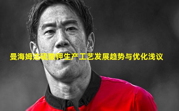 曼海姆法硫酸钾生产工艺发展趋势与优化浅议
