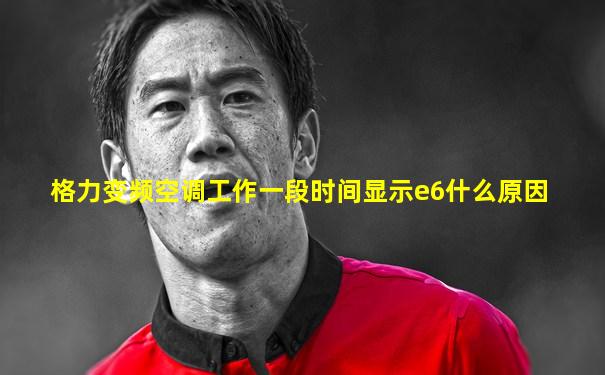 格力变频空调工作一段时间显示e6什么原因