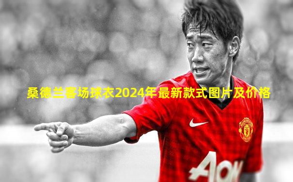 桑德兰客场球衣2024年最新款式图片及价格