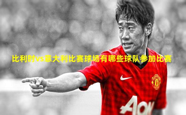 比利时vs意大利比赛球场有哪些球队参加比赛