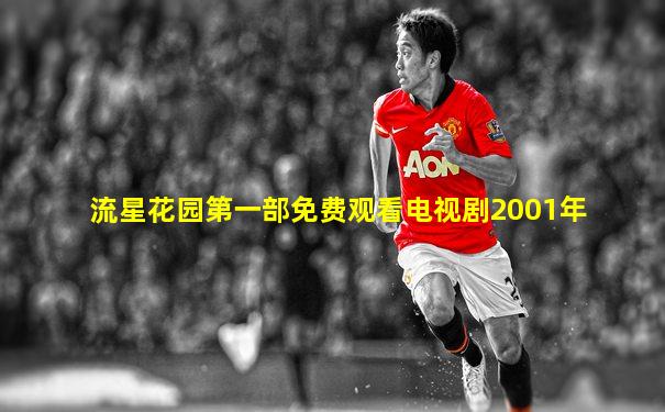 流星花园第一部免费观看电视剧2001年