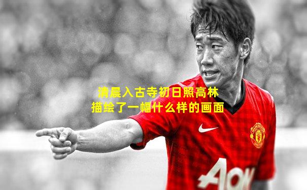 清晨入古寺初日照高林描绘了一幅什么样的画面