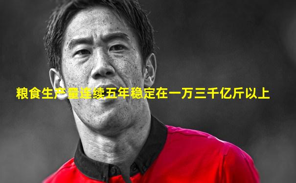 粮食生产量连续五年稳定在一万三千亿斤以上