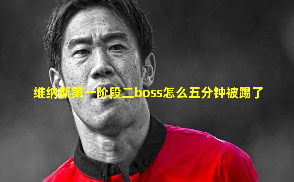 维纳斯第一阶段二boss怎么五分钟被踢了
