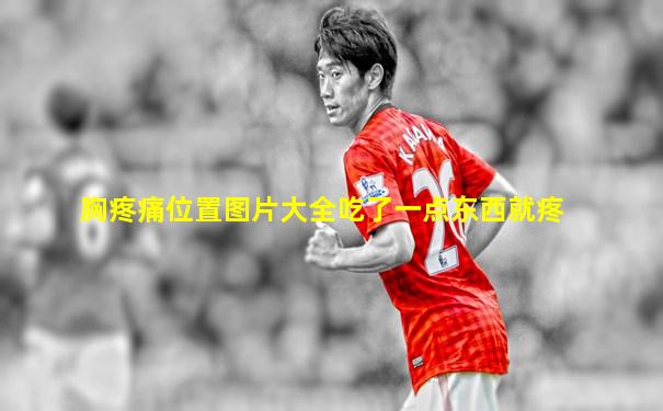 胸疼痛位置图片大全吃了一点东西就疼