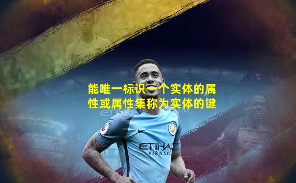 能唯一标识一个实体的属性或属性集称为实体的键