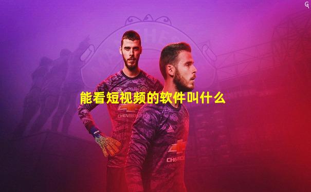 能看短视频的软件叫什么