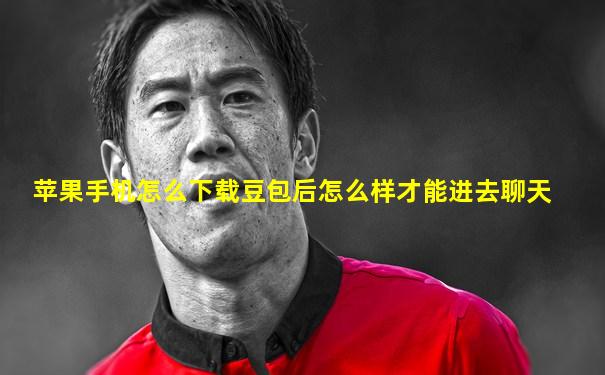 苹果手机怎么下载豆包后怎么样才能进去聊天