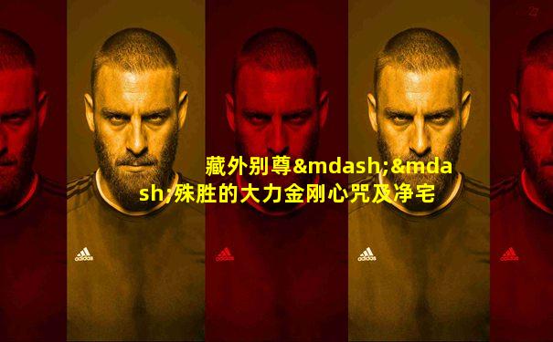 藏外别尊——殊胜的大力金刚心咒及净宅护身求愿修持